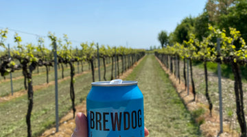 From Hops to Grapes: How Craft Wine is Winning Over Beer Lovers