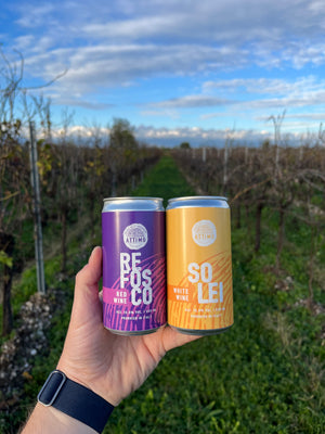 Unlocking the Benefits of Canned Wine: Convenience, Quality, and Sustainability